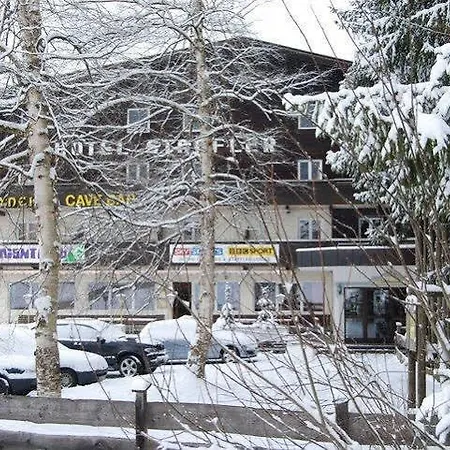 Hotel Staffler Niederau